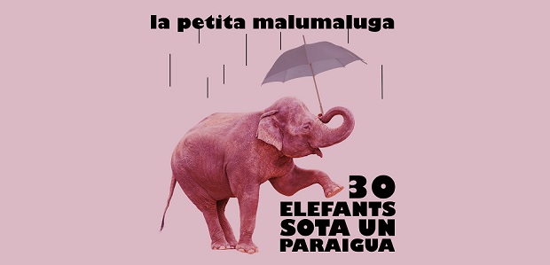 30 elefants sota un paraigua