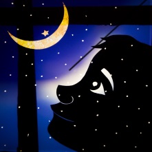 Animamundi Teatre d'ombres