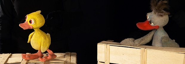 El Mitmo celebra 10 anys de titelles