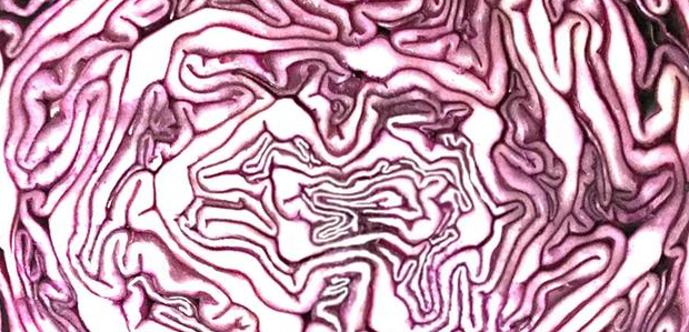 El Monstre al Laberint