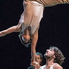 Amer i Àfrica Circ Cia