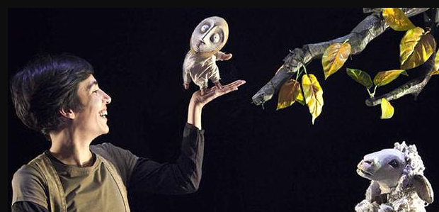 Història d'una llavor