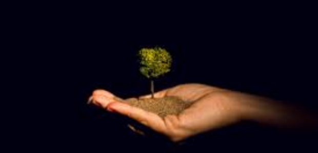 Fins a sis companyies catalanes guardonades als Premis FETEN 2024