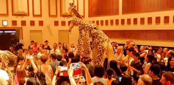 Les Girafes de Xirriquiteula revolucionen Okinawa