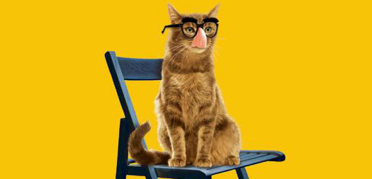 El Festival de Contes i Espectacles de Carrer Marrameu