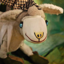 Pengim Penjam Titelles