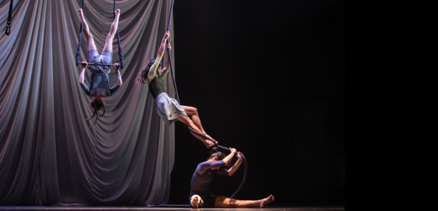 La 29a edició del Circ d'Hivern de l'Ateneu Popular 9 Barris reivindica la singularitat amb l'espectacle 'Rara Avis'