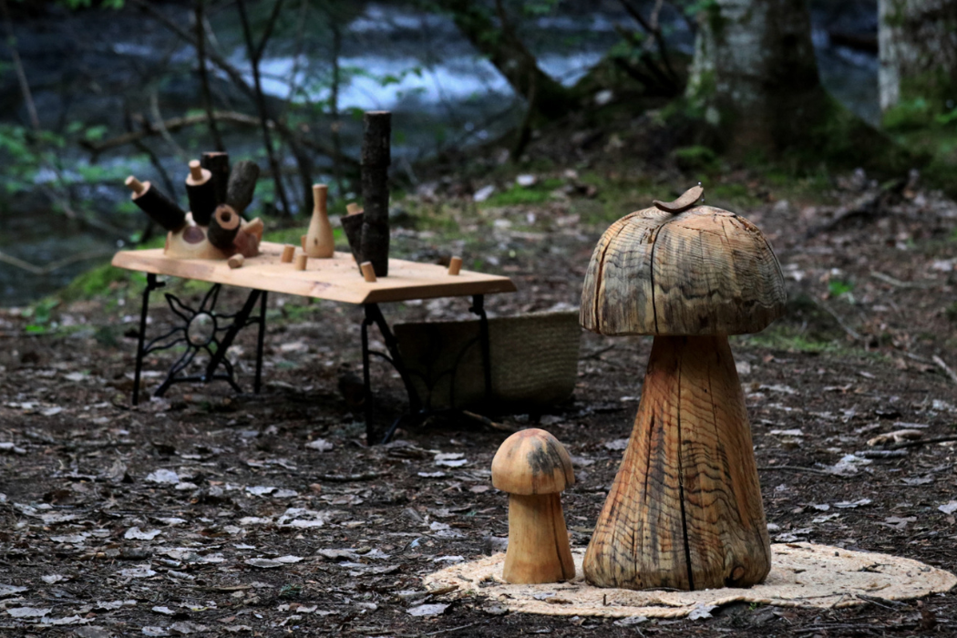 camins_de_bosc_apikipala